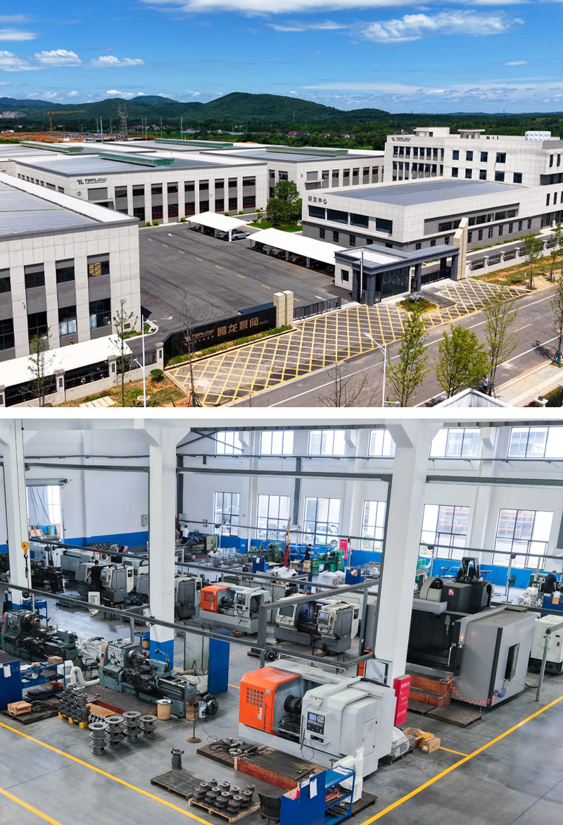 ผู้เชี่ยวชาญในปั๊มไดรฟ์แม่เหล็กแบบกำหนดเอง - ปั๊มและวาล์ว tenglong